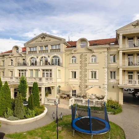 Hotell Aurum 4*